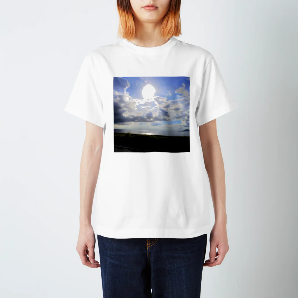 MAG3beagleの南国ocean スタンダードTシャツ