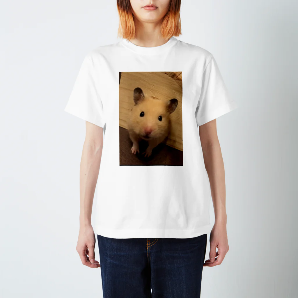 香色のハムスターのキンクマハムスター　香ちゃん Regular Fit T-Shirt