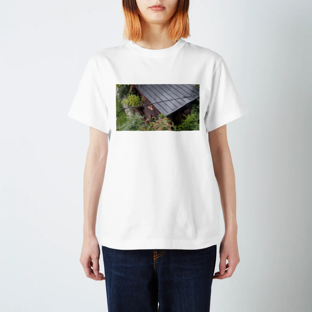 catphotosの雨宿りをする猫 Regular Fit T-Shirt