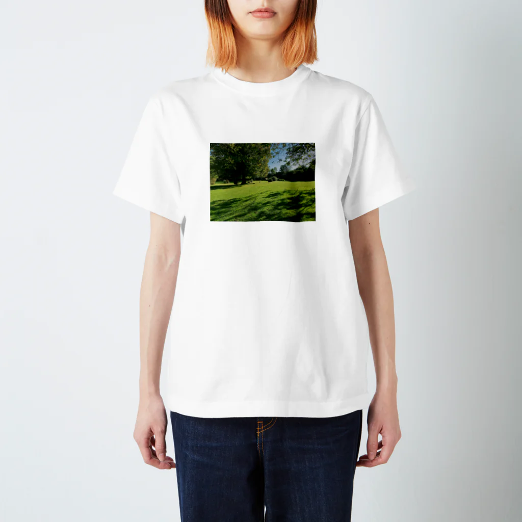 omoidelightの原っぱ スタンダードTシャツ