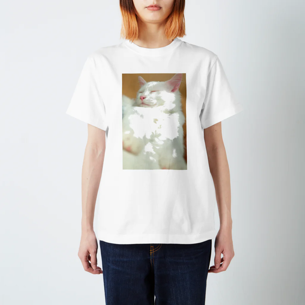 touhaのオネムなおでぶちゃん Regular Fit T-Shirt