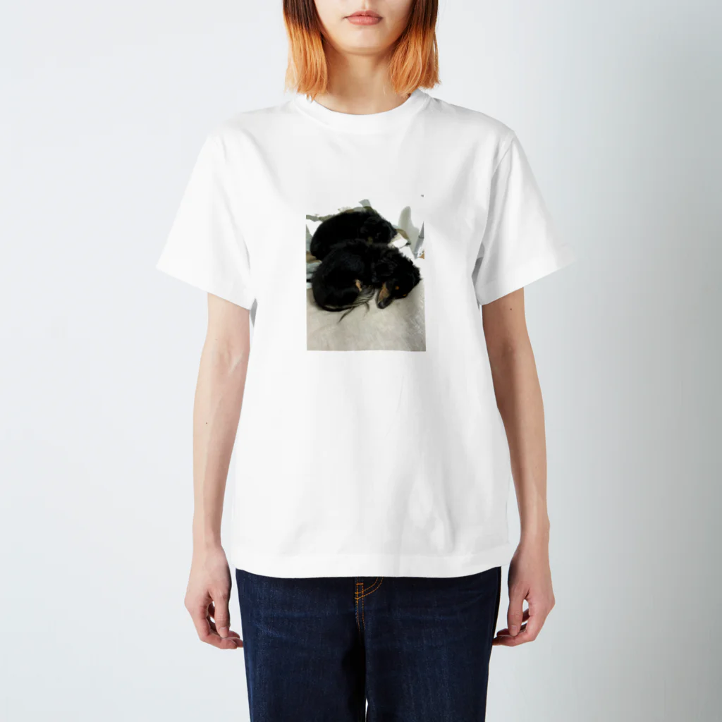 nellymeguのカニヘンダックス達 Regular Fit T-Shirt