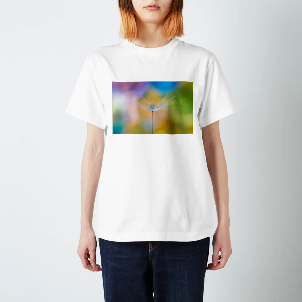 まゆにゃんΣ[【◎】]ω･´)のカラフル スタンダードTシャツ