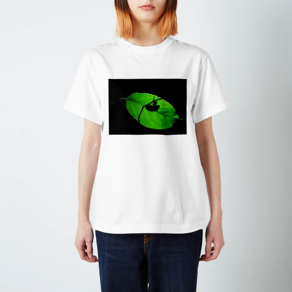 GreenTrexのセミシルエット スタンダードTシャツ