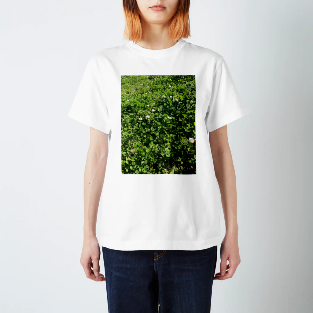 涅槃ねこの草 スタンダードTシャツ