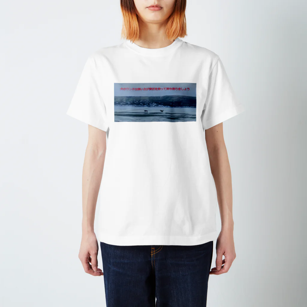 Catenary LABのinnu no sanpo スタンダードTシャツ