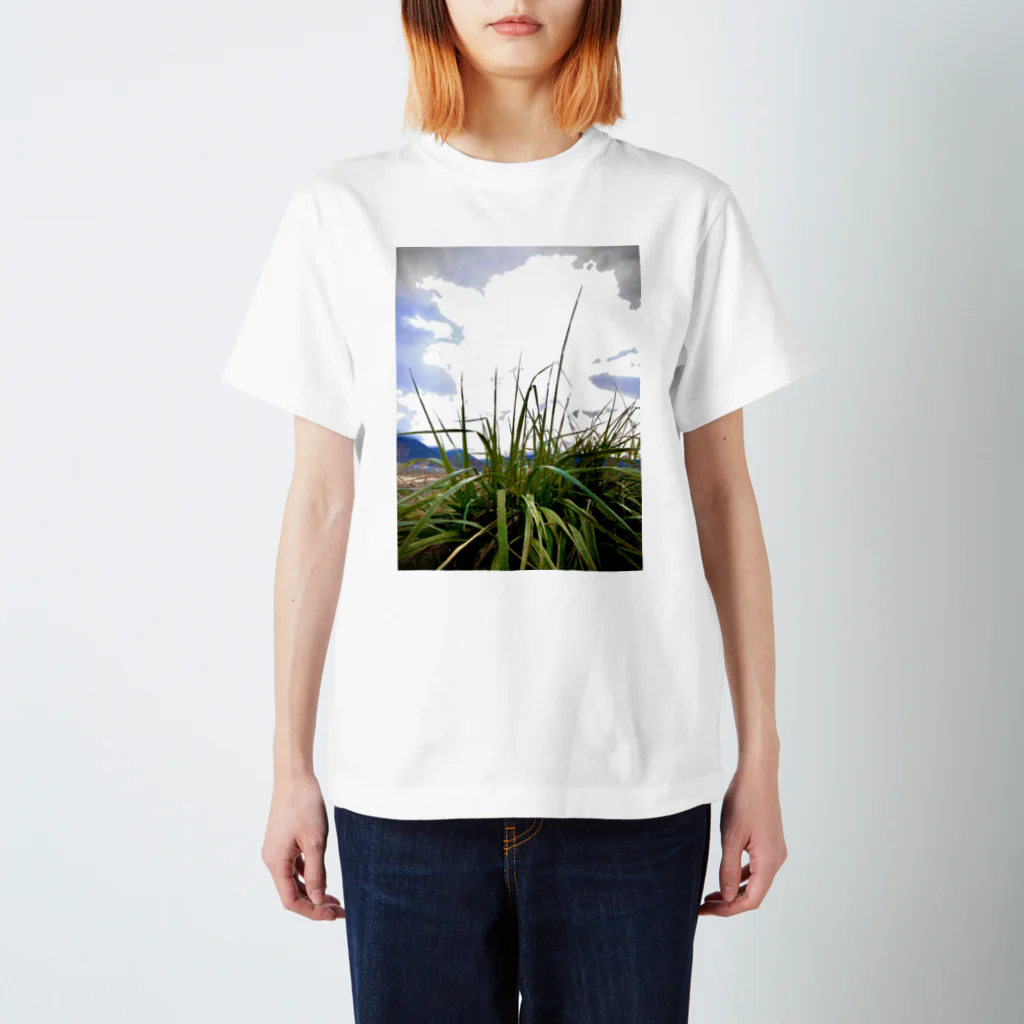 Poni_11の草かもぉ Regular Fit T-Shirt