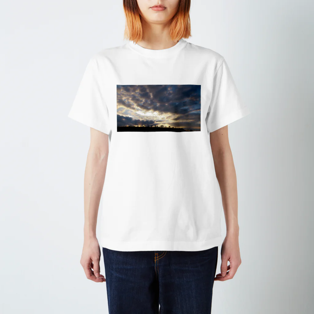 usadaのゆ Regular Fit T-Shirt