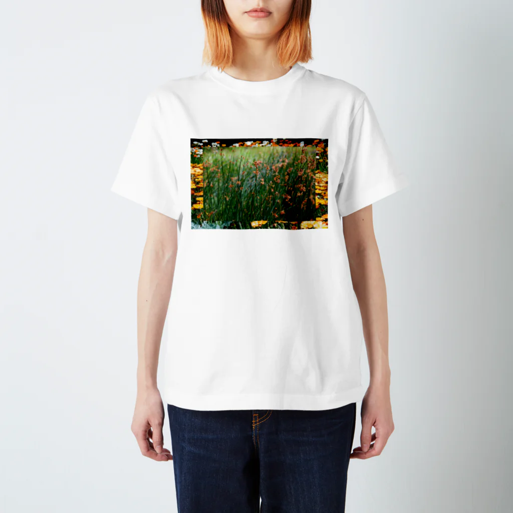 textbibiのfolwer×flowre スタンダードTシャツ