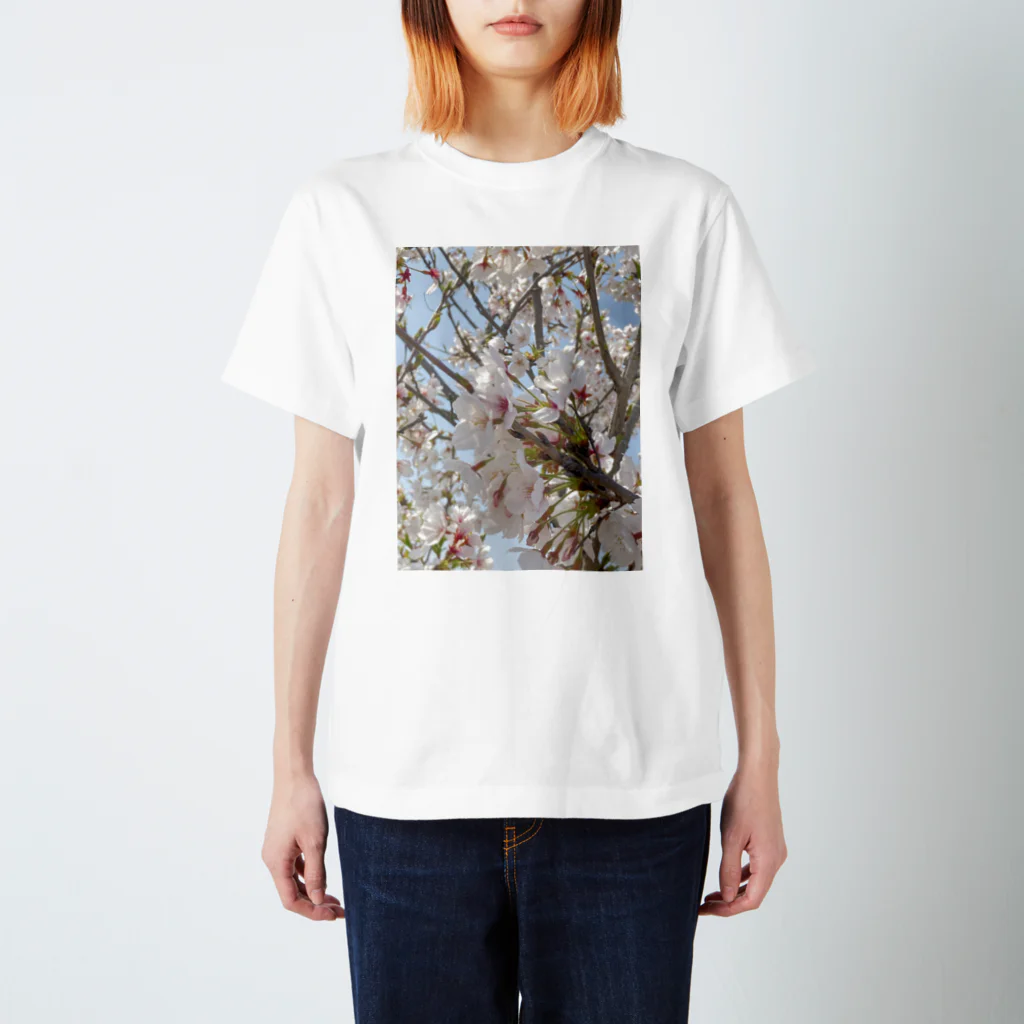 TENTENのSAKURA Regular Fit T-Shirt