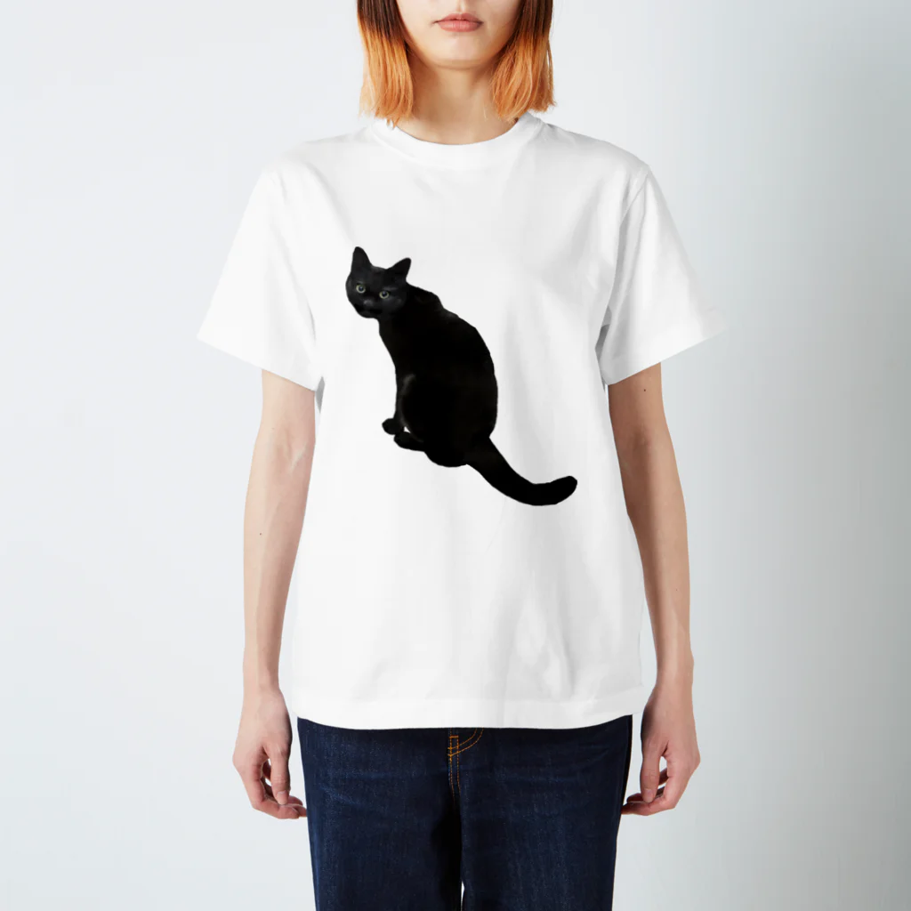 猫とやっし～ぃのアレコレの振り向く黒猫 スタンダードTシャツ