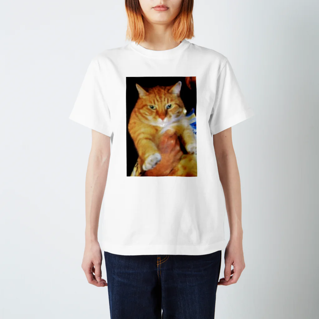 chanryo_7のフレディマーキュリーのねこtシャツ スタンダードTシャツ