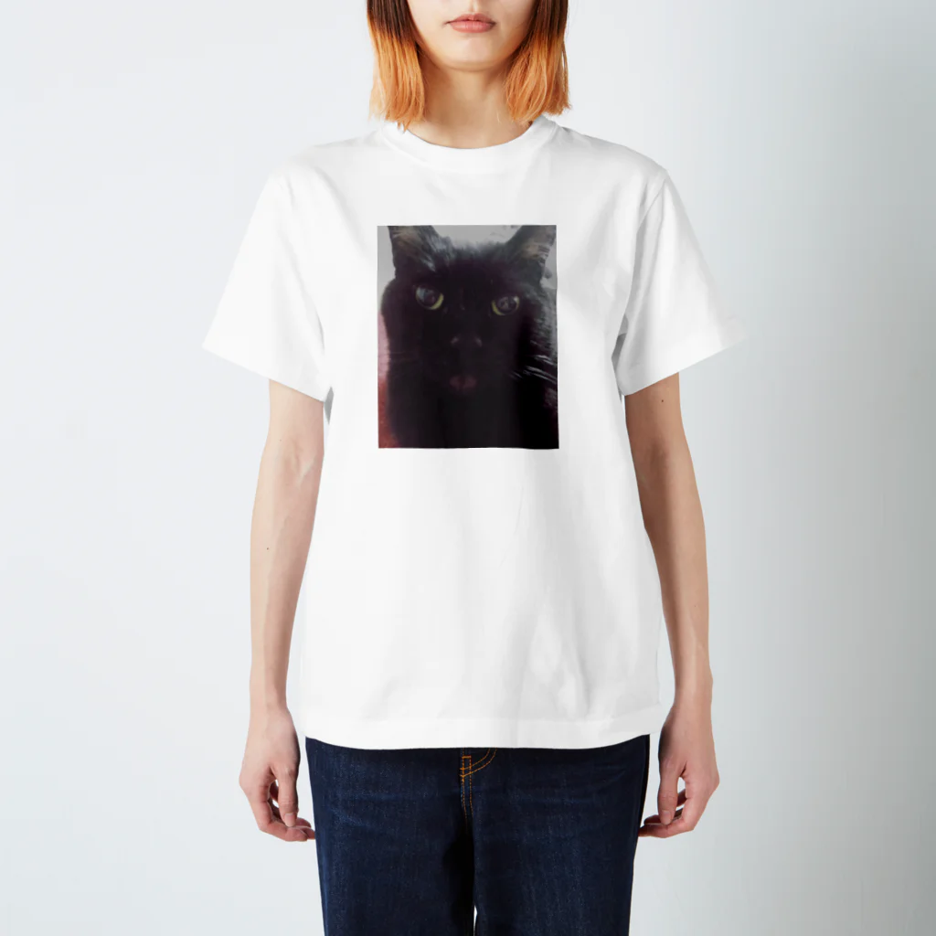 黒猫sceneryの黒猫のミニクロくん スタンダードTシャツ