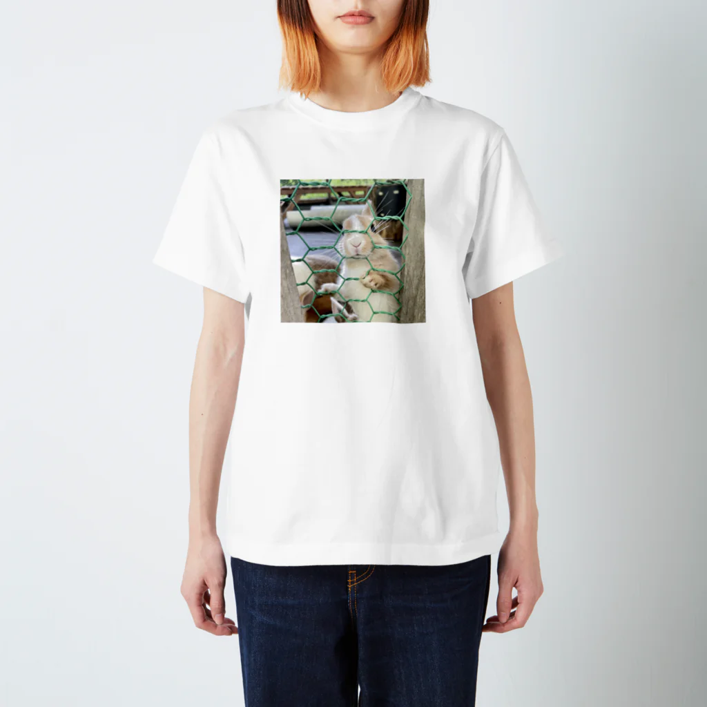 merqoのうさぎ2 Regular Fit T-Shirt