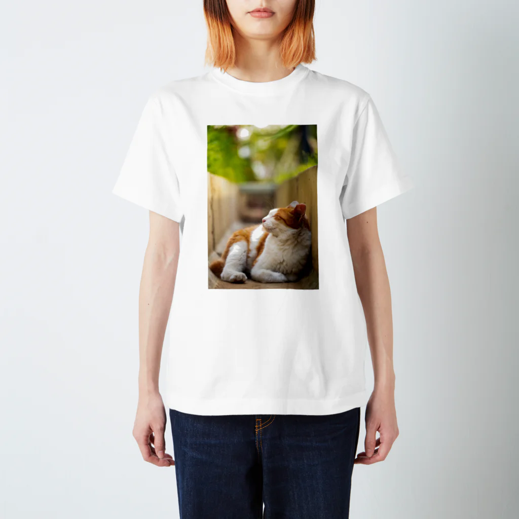 猫写真家「むに」のアトリエののんびりまったり スタンダードTシャツ