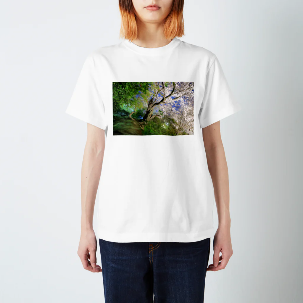 きな子の夜桜 スタンダードTシャツ