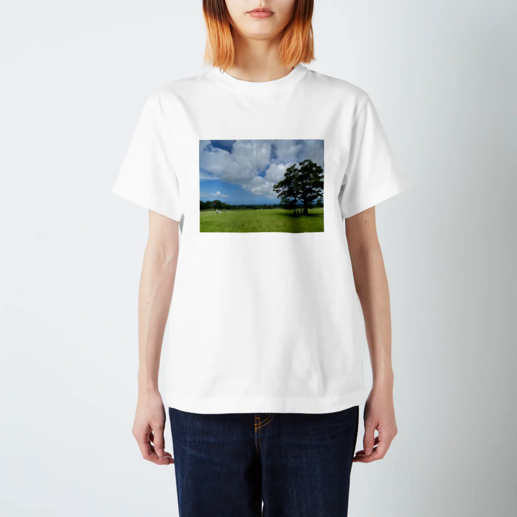 hygge_tottoriの青空　 Regular Fit T-Shirt