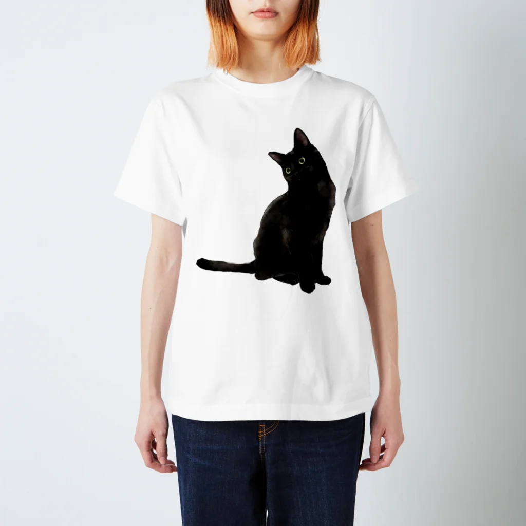 猫とやっし～ぃのアレコレのん？黒猫ですが何か？ Regular Fit T-Shirt