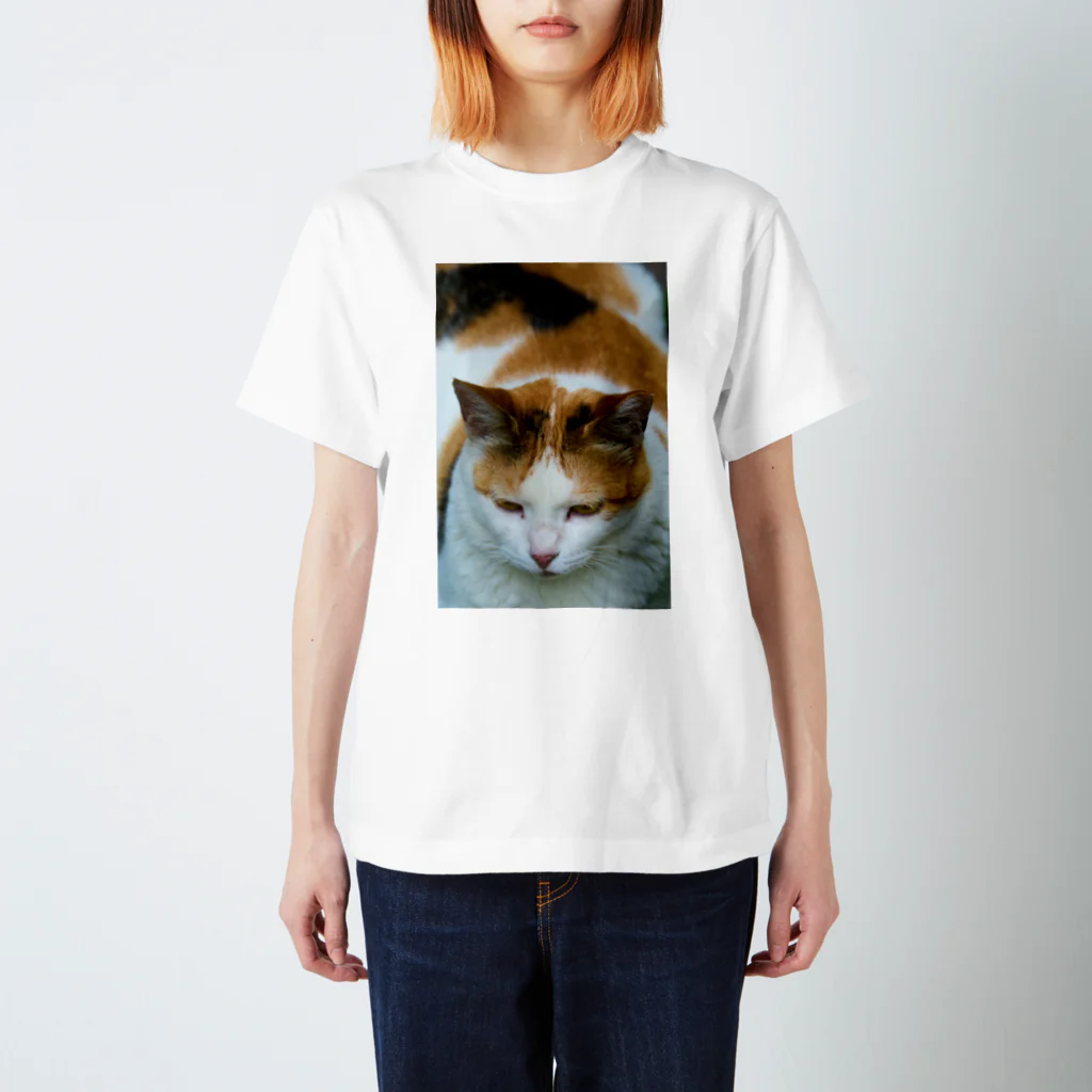 猫写真家「むに」のアトリエの三毛猫どーん Regular Fit T-Shirt