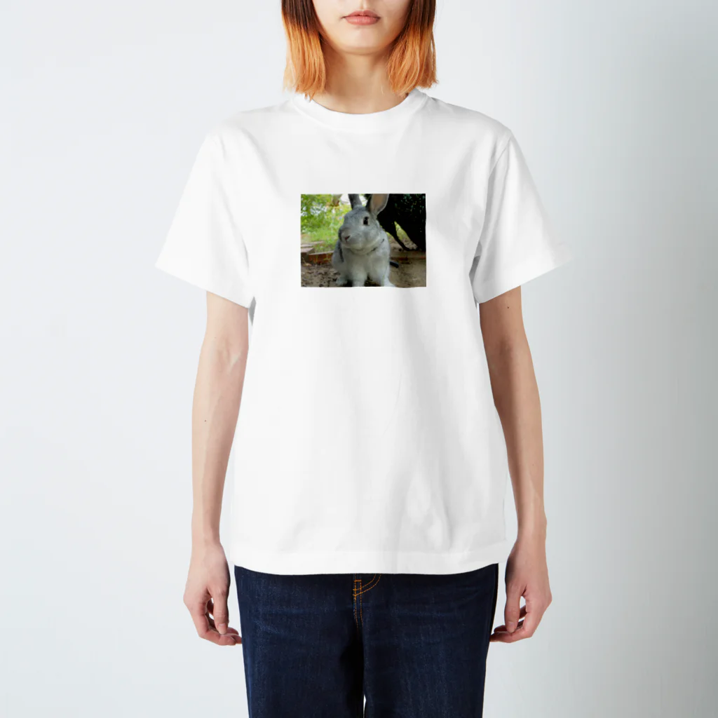 mikanbatakeのうさぎ　お散歩中 Regular Fit T-Shirt