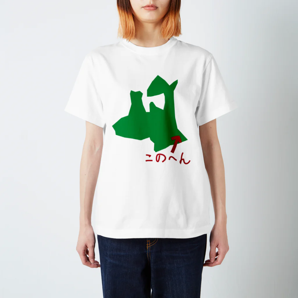 namdemoyaの八戸 スタンダードTシャツ