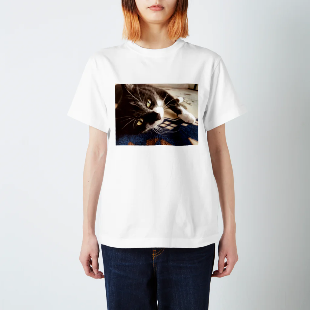 昼寝猫🐈‍⬛の奇跡の一枚 Regular Fit T-Shirt
