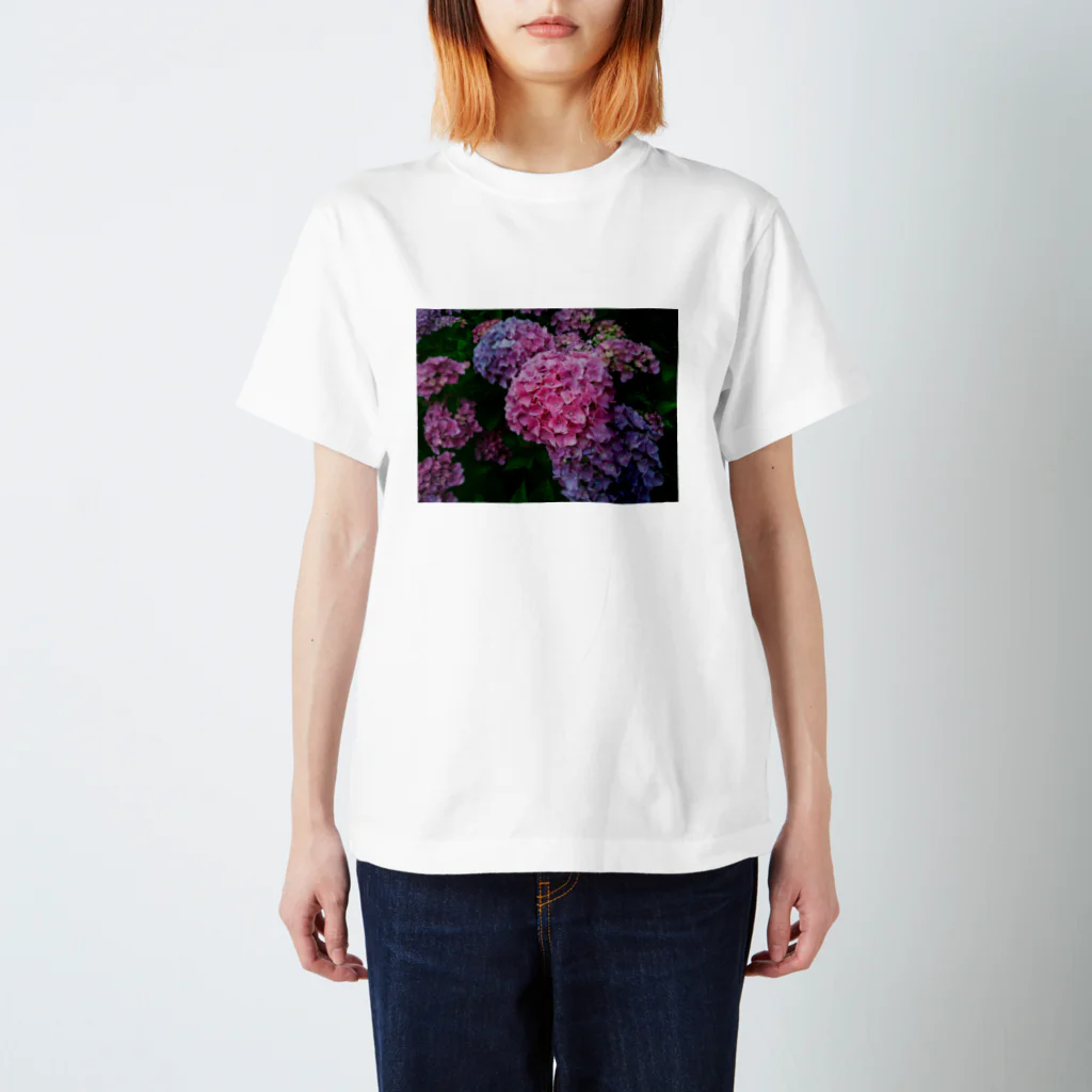 日常の一コマの紫陽花 Regular Fit T-Shirt