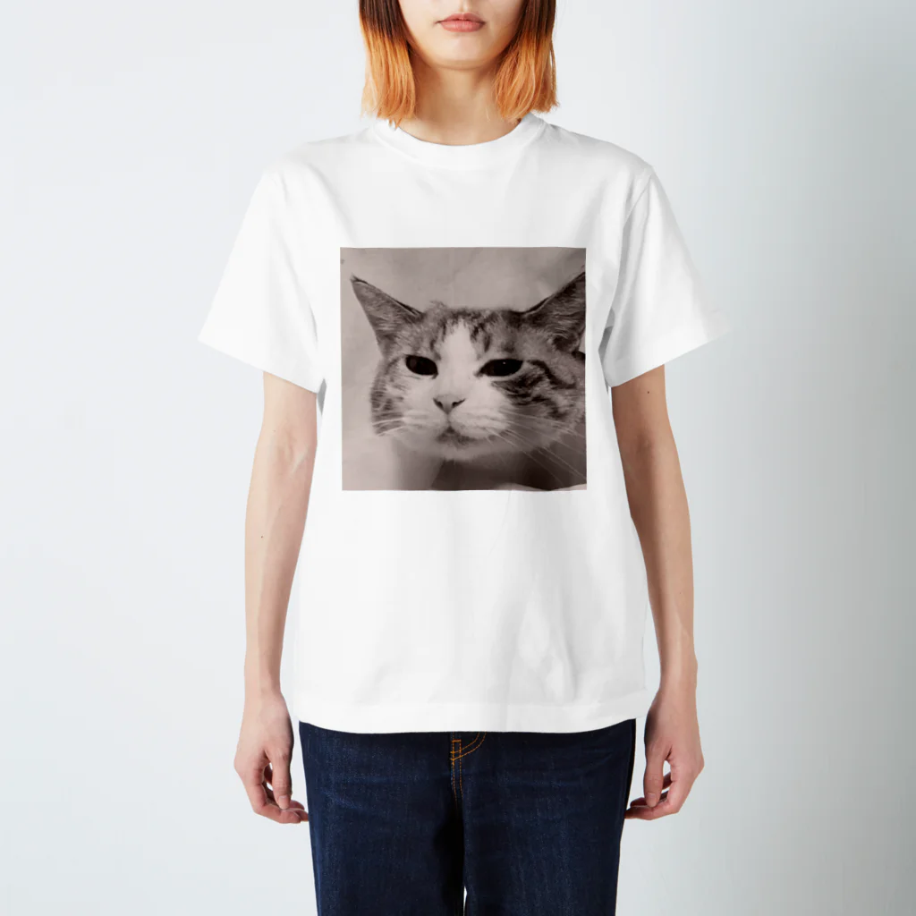 ジョリーマンダリンのSneezing cat スタンダードTシャツ