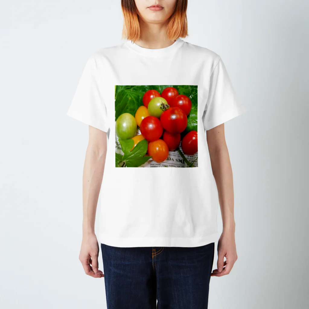 burihanaの地中海トマト スタンダードTシャツ