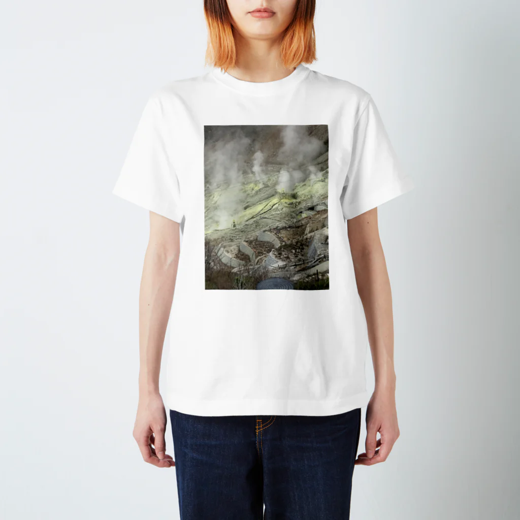 haru haruのスゴイ洋服 Regular Fit T-Shirt