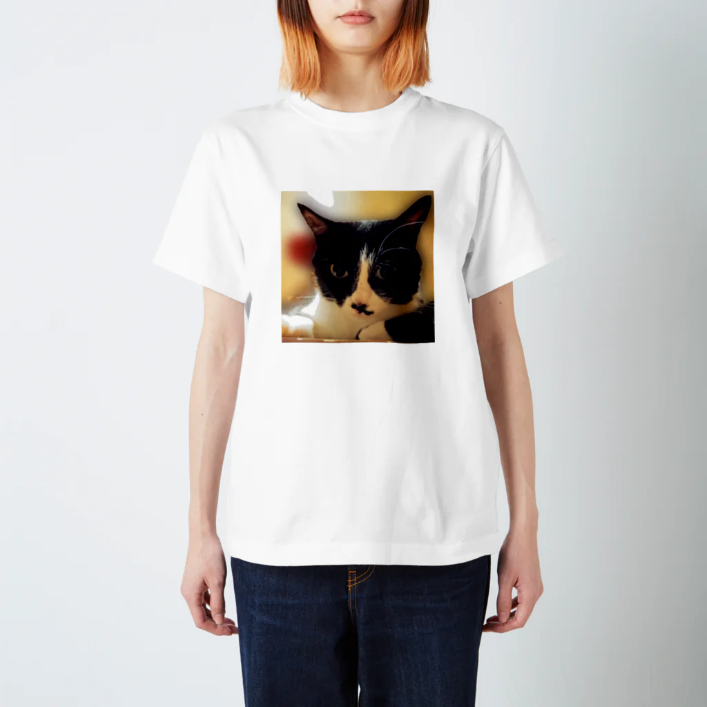 はっちゃんhachiko8535のhachiko2 Regular Fit T-Shirt