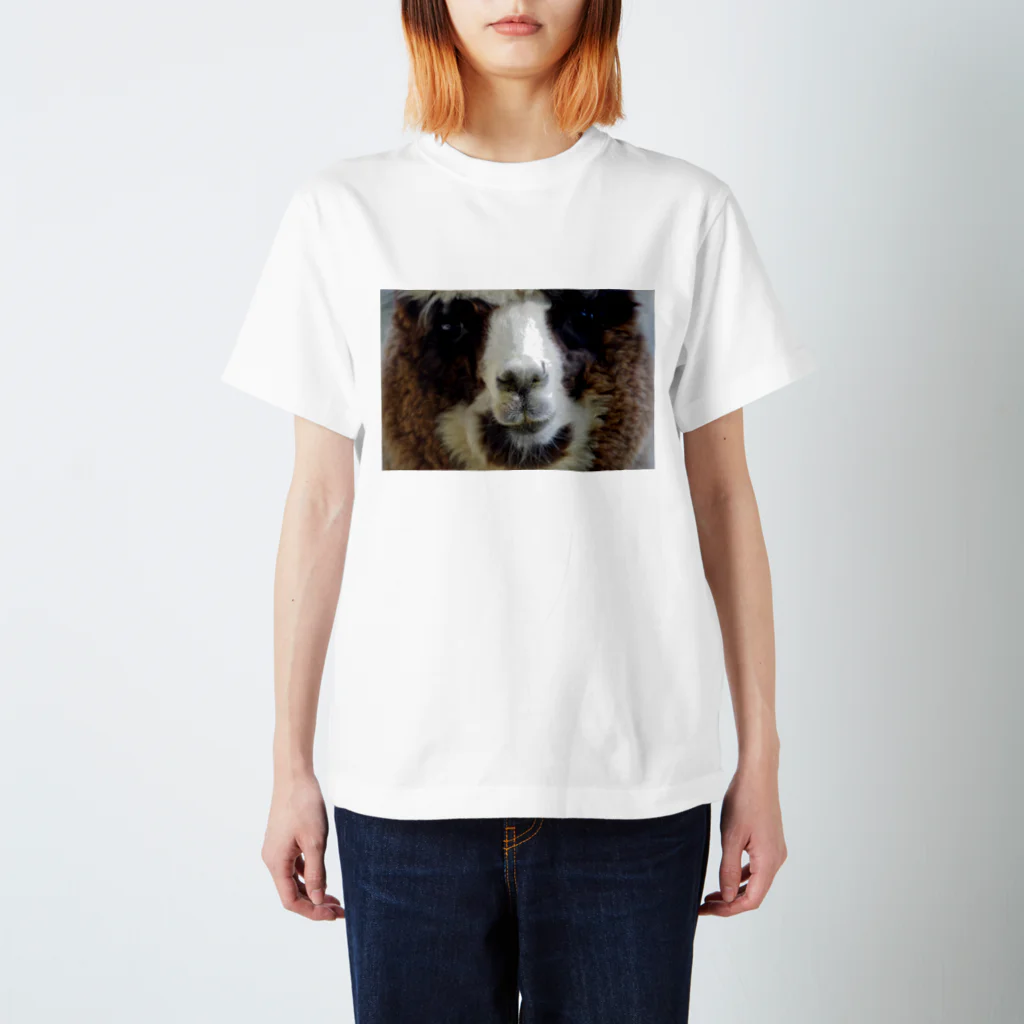 f.animalsのどあっぷ（アルパカさん） スタンダードTシャツ