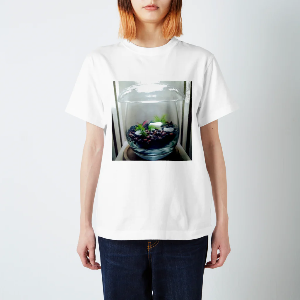mossterrariumの苔テラリウム Regular Fit T-Shirt