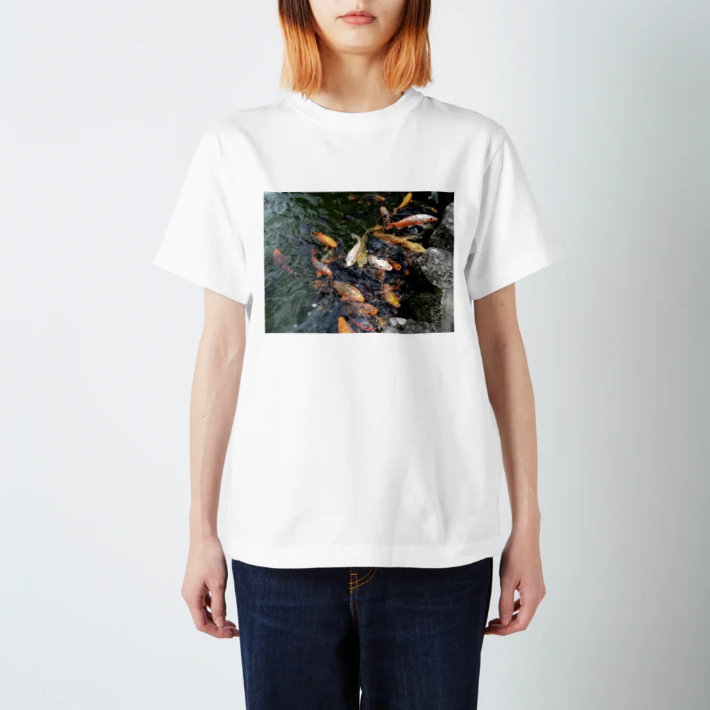 栗尾根の鯉の大群 Regular Fit T-Shirt