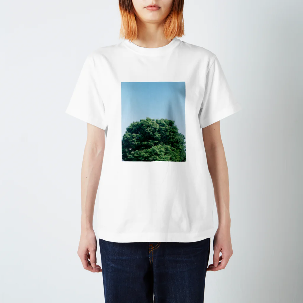 kota nakagawaのtree on film #1 スタンダードTシャツ