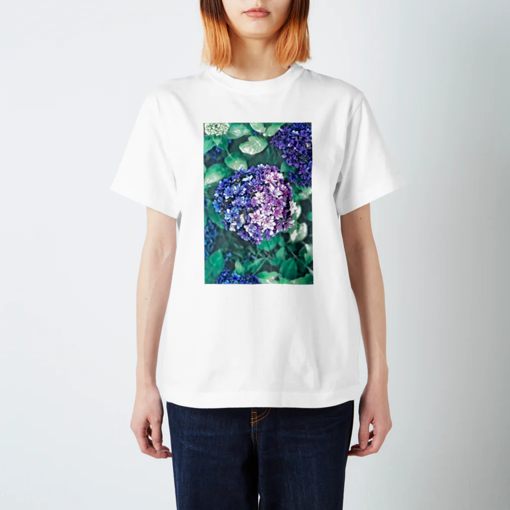 KAPPAの紫陽花 Regular Fit T-Shirt