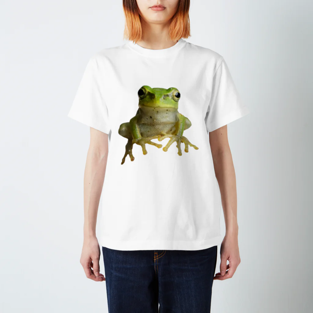 石田 汲の2D-Frog ver.01 スタンダードTシャツ