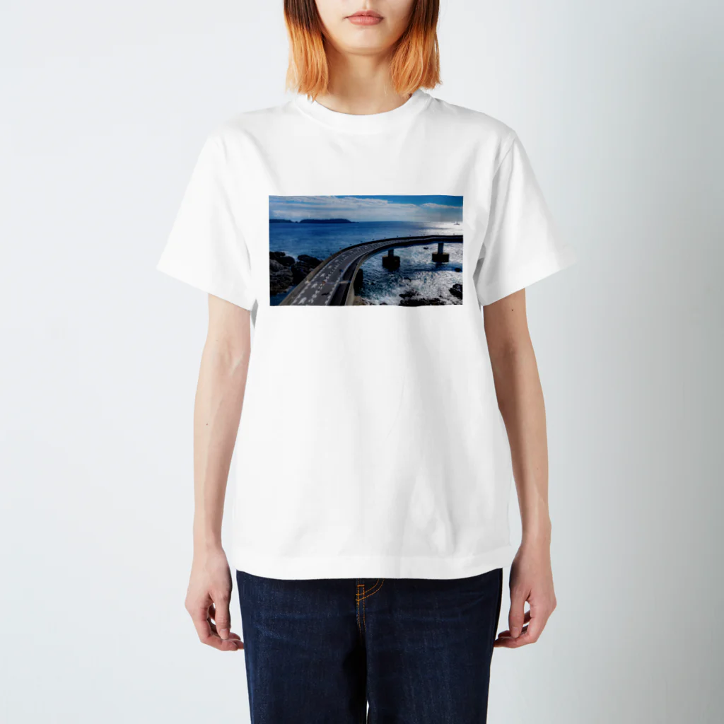 chobi×wakaのkushimotoohashi001 Regular Fit T-Shirt