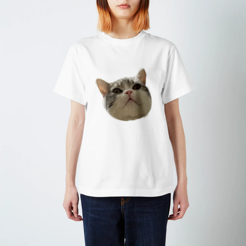 わんこせんせい🐶のほっちきちー スタンダードTシャツ