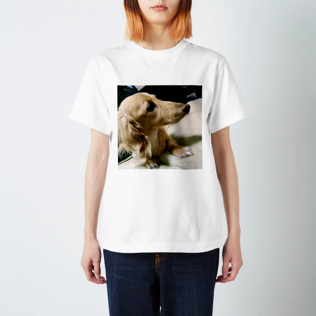 A2機関の一般的な愛犬 Regular Fit T-Shirt