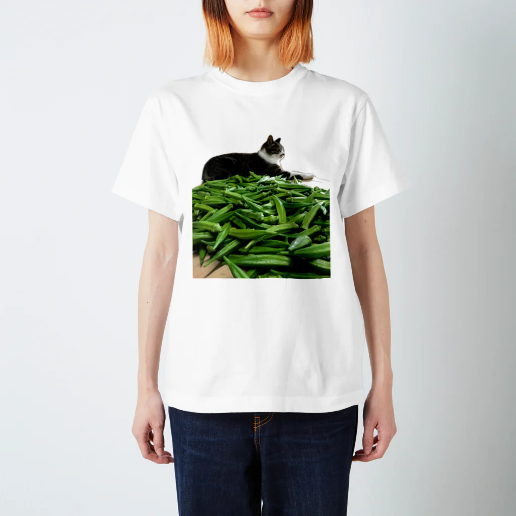 Yamawaki17のオクラネコ スタンダードTシャツ