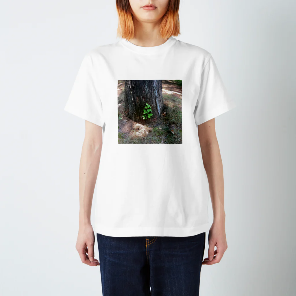 まとい屋の花模様  ひこばえ Regular Fit T-Shirt