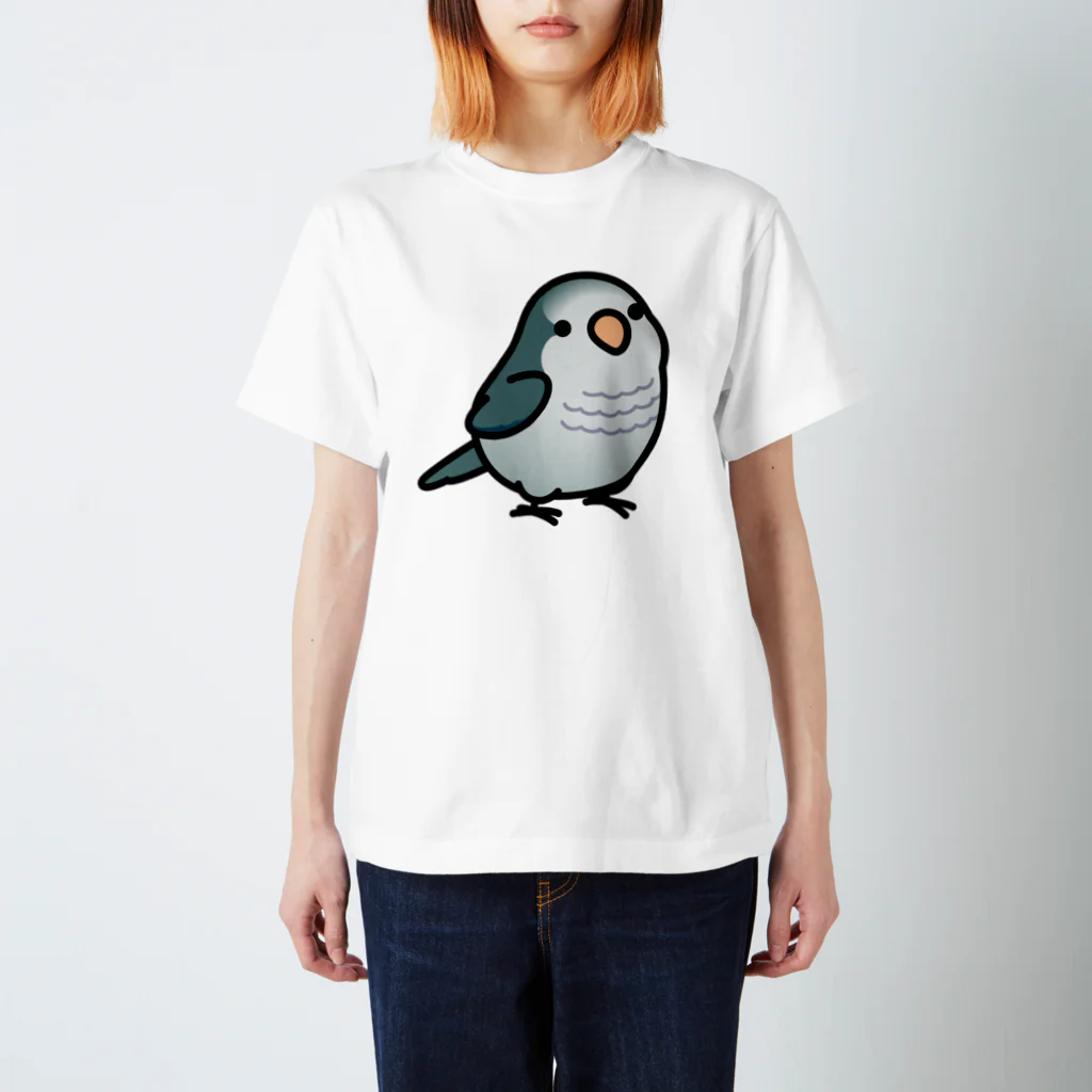 Cody the LovebirdのChubby Bird オキナインコ スタンダードTシャツ