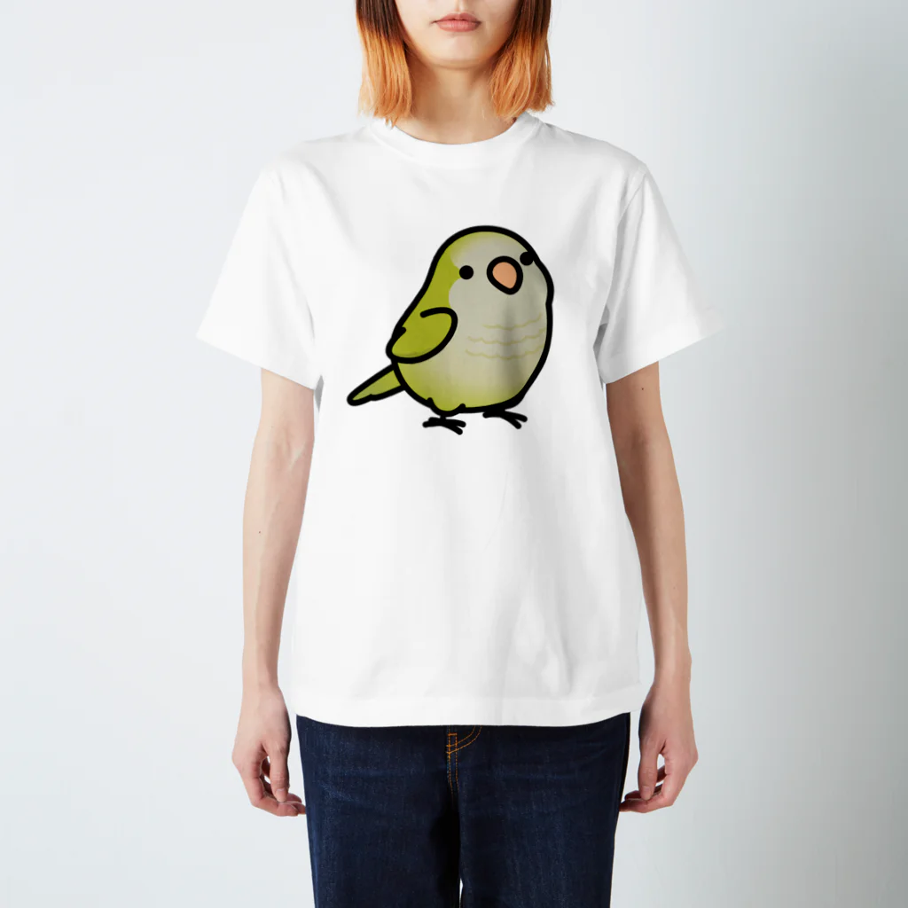 Cody the LovebirdのChubby Bird オキナインコ スタンダードTシャツ