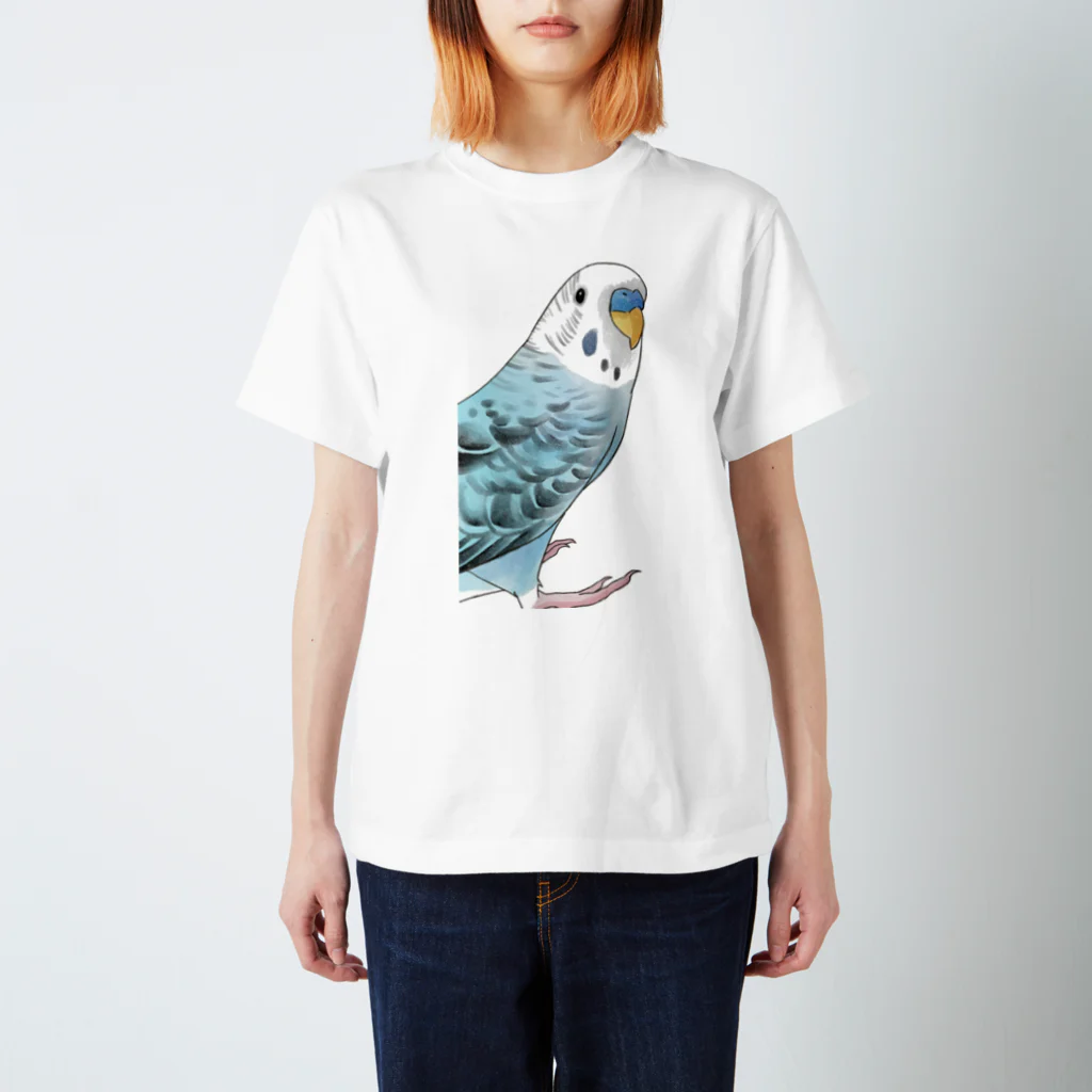 まめるりはことりの振りむきセキセイインコちゃん【まめるりはことり】 スタンダードTシャツ