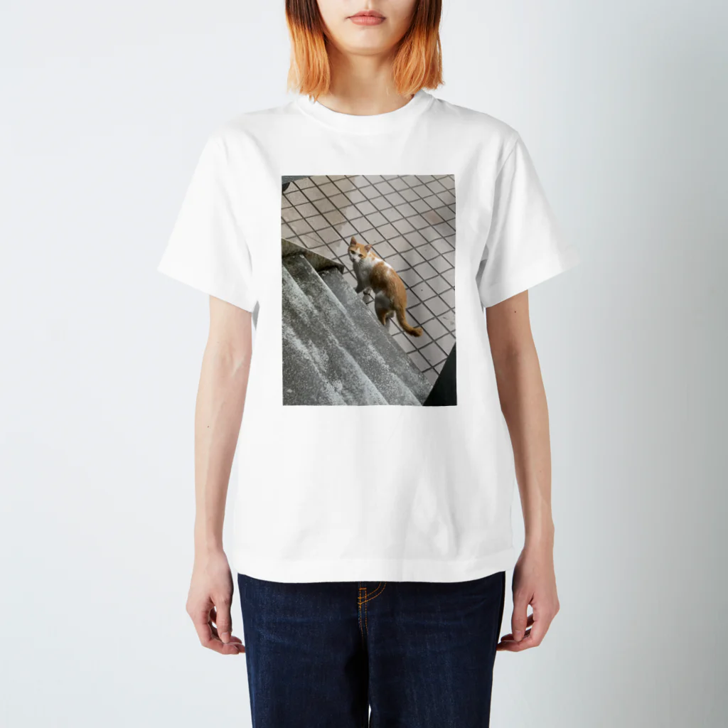 charlie_dogの玄関先の知らん猫 Regular Fit T-Shirt