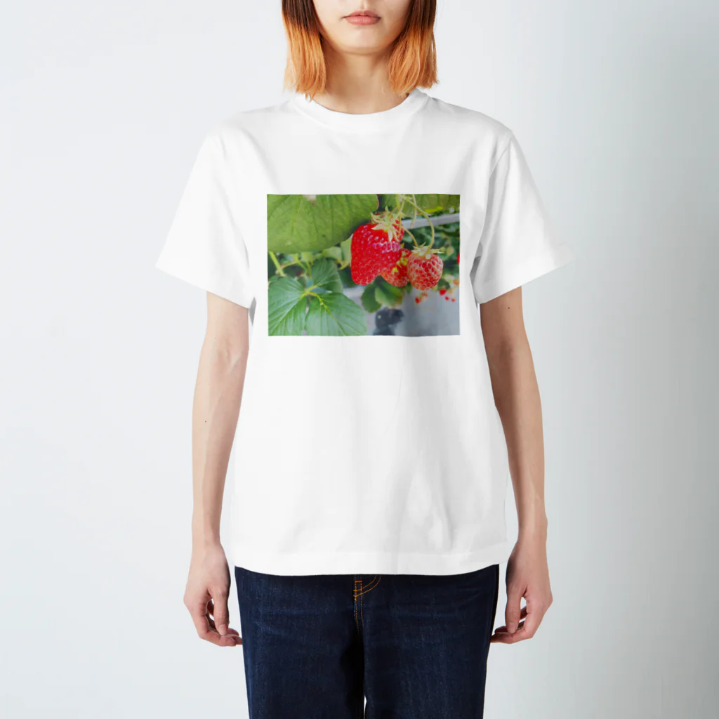 癒しショップのストロベリーちゃん Regular Fit T-Shirt