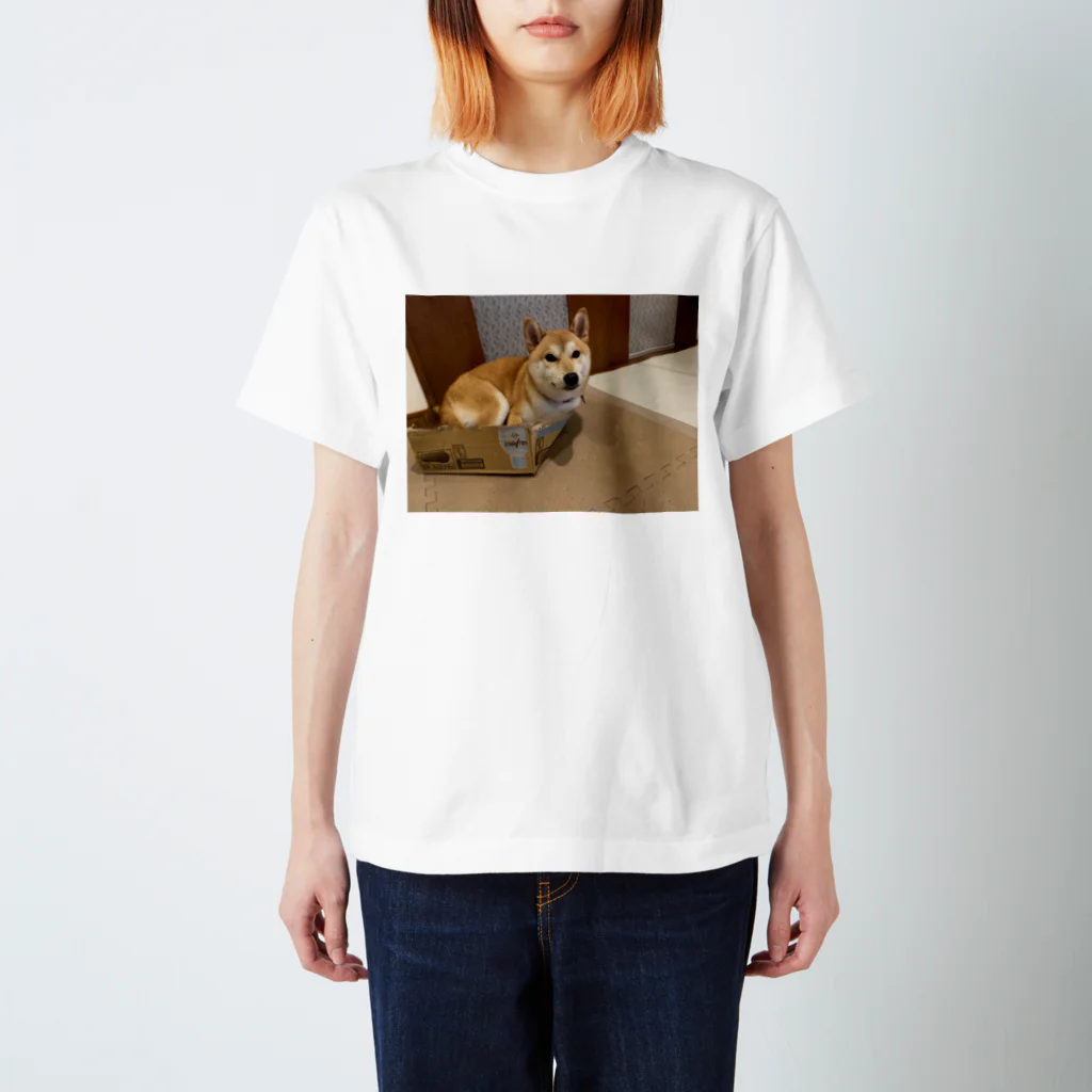 takashi___の柴犬五郎 スタンダードTシャツ