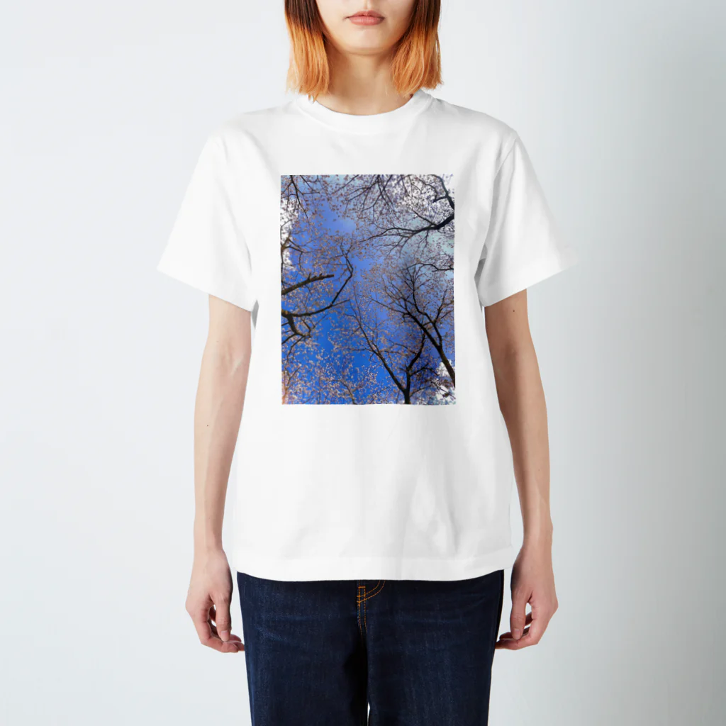 シロップのアオと桜 スタンダードTシャツ