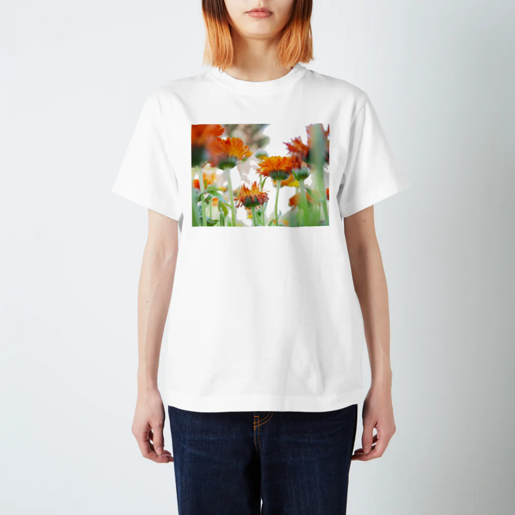 matsunomiの光と花 スタンダードTシャツ